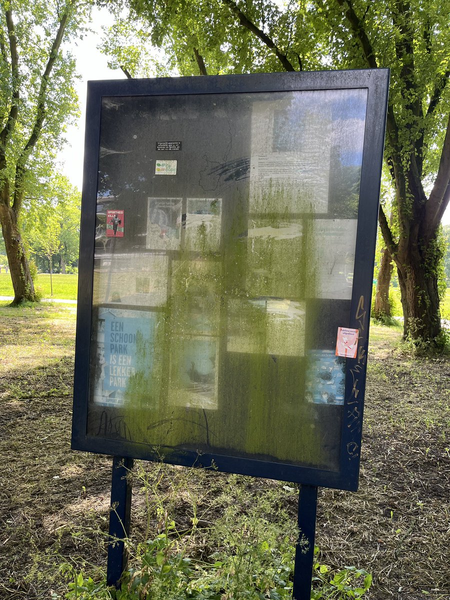 Hans Dinkelberg tweet media