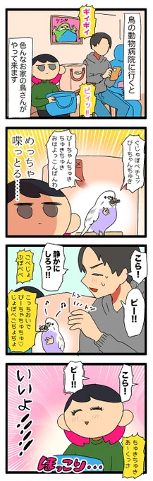 鳥専門病院の待合室でよく見かける光景……🫶✨

1142 #えるポピの絵日記かくところ 