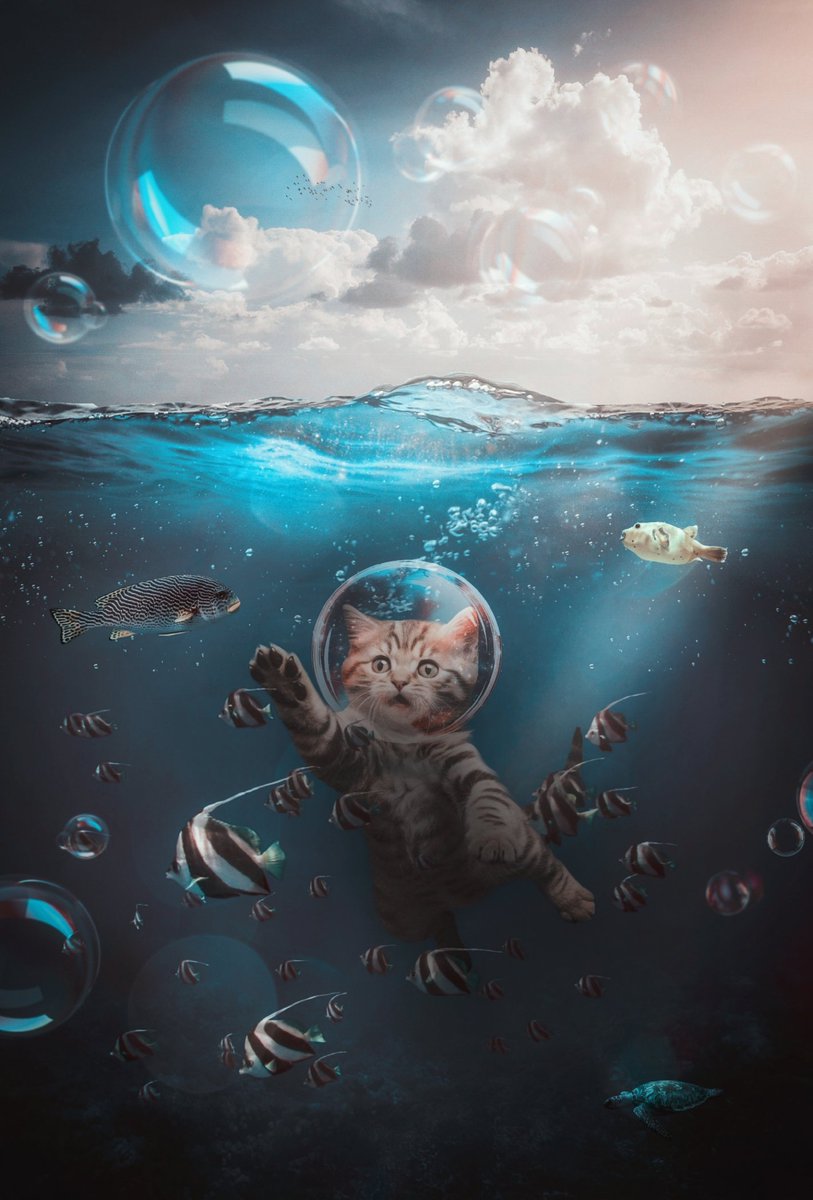#artistsonx #digitalarts