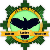Haringey Tree Protectors tweet media