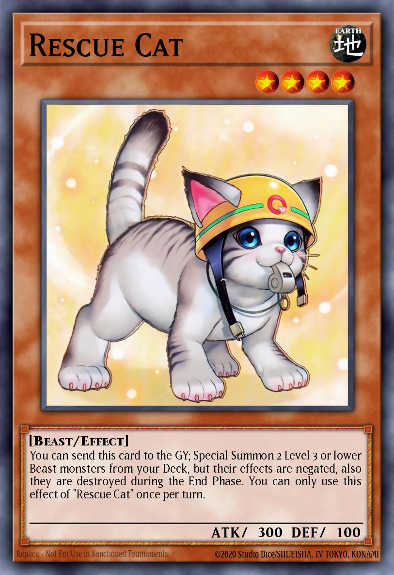 BPhantom994's tweet photo. @YGOMasterDuel Rescue Cat
#MASTERDUELSweepstakes https://t.co/g0KxKEG6Sb