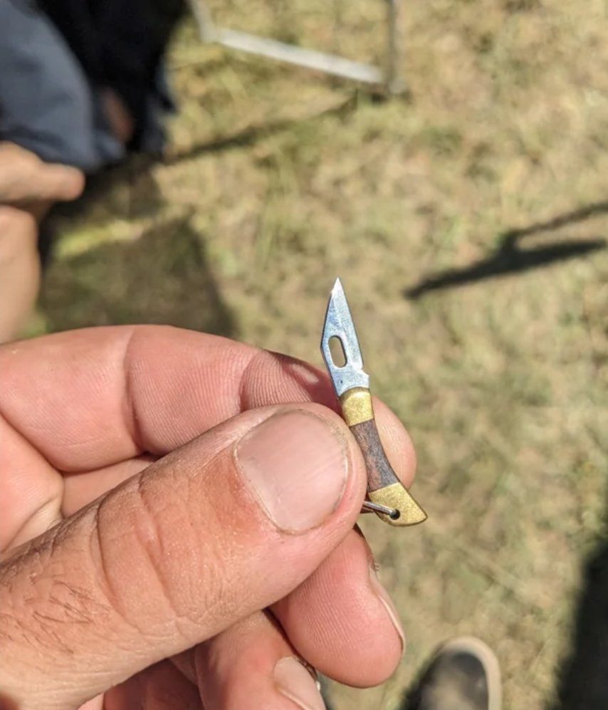 Turles 🐷🟪 tweet media