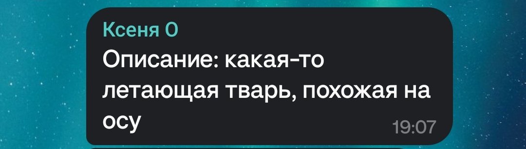 LLga16's tweet image. Играем в "Назови насекомое по описанию" 
Описание: