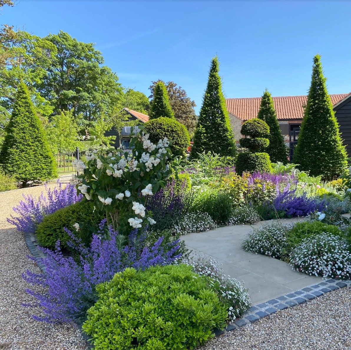 In celebration of British Flowers Week, the sun's welcome return brings back fond memories of this beautiful garden designed by <a href="/studio_ikram/">IKRAM STUDIO</a> in North London in 2020. The captivating display features a mix of Erigeron Karvinskianus 'Profusion', Salvia, and Nepeta.