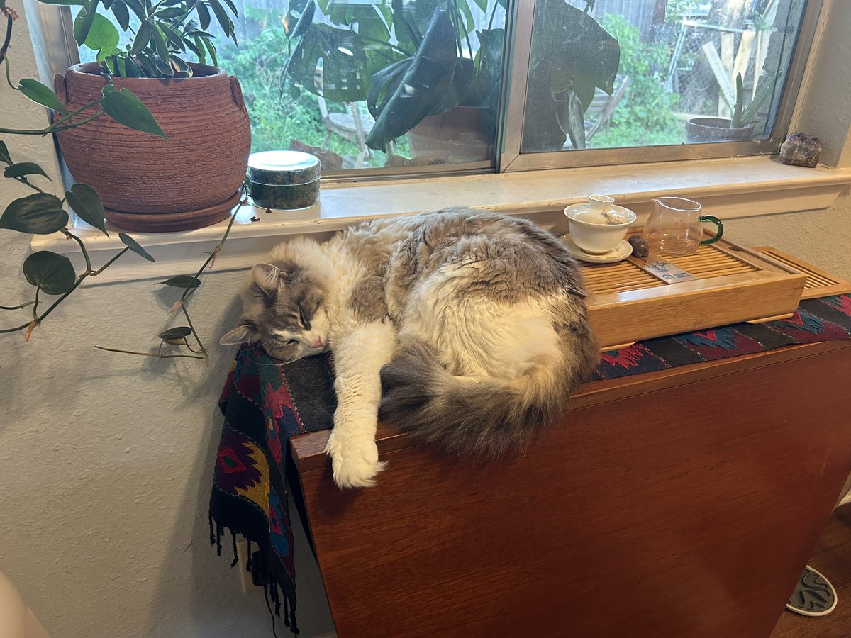 kenny criminal goblin🧡 tweet media