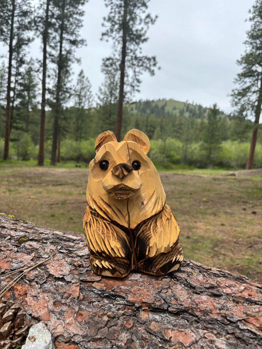 bk_wellman's tweet photo. This is Buzzy Bear. I made the mistake of taking him outside and now he has the adventure bug.

#naturephoto #buzzybear #naturescenery #woodenbear https://t.co/gtehGM0t0a