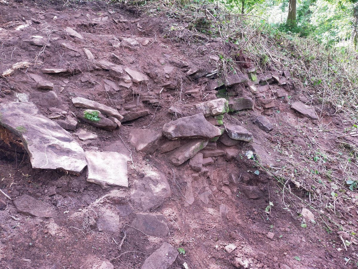 Definitely not an earthen bank. Next question - is it Iron Age or could it be Medieval? Let's find out tomorrow! #buckholtbryngaer #churchillarchaeology #ironage #monmouthshire #archaeology #hlf