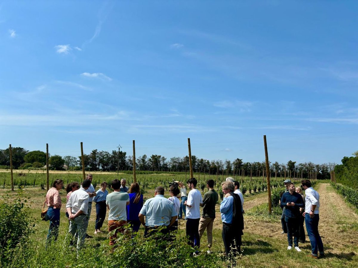 EDF power solutions tweet media