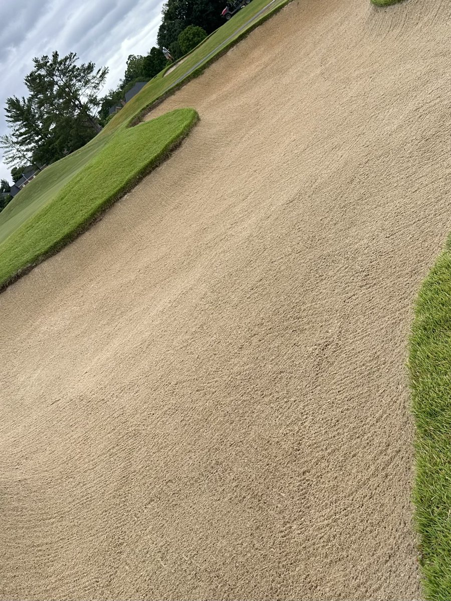 WarriorsPathGC tweet media