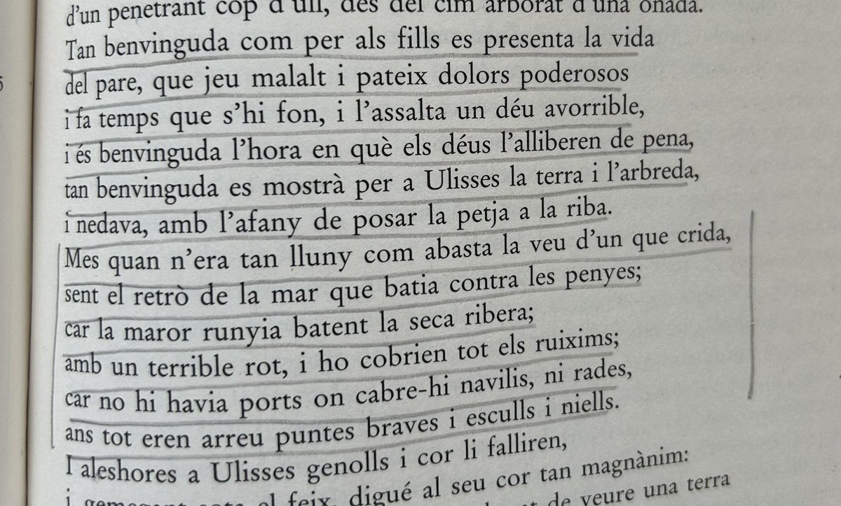 Eloi Creus tweet media