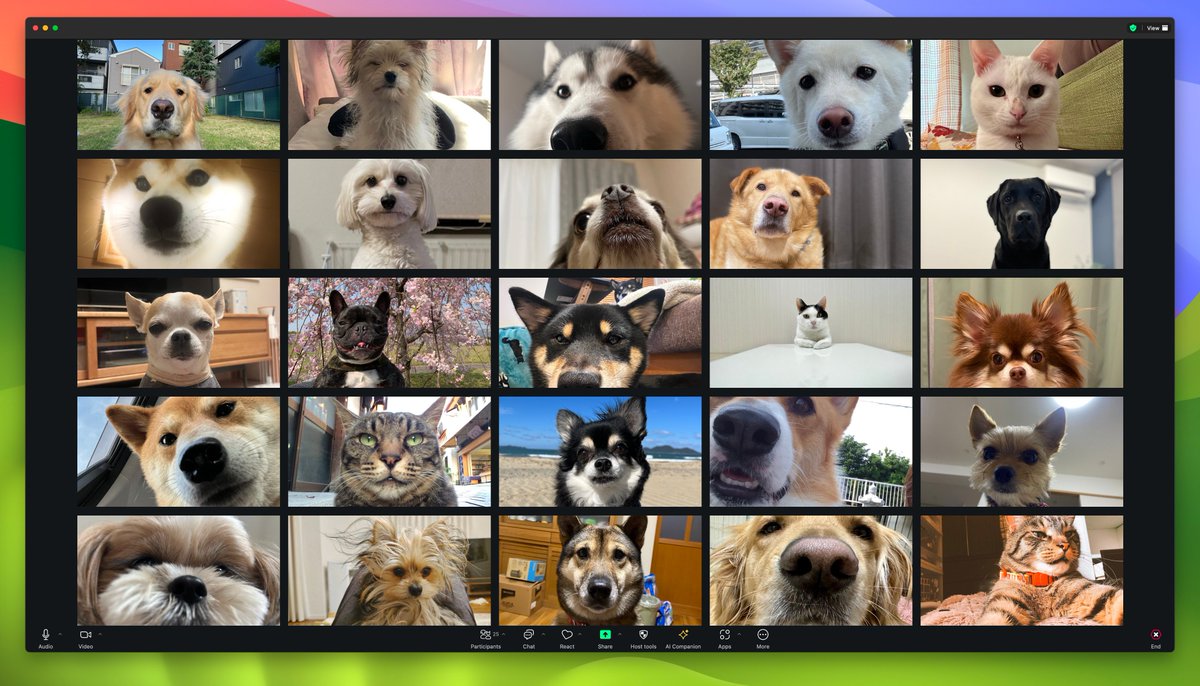 このリモート会議に参加したい🐶🐱