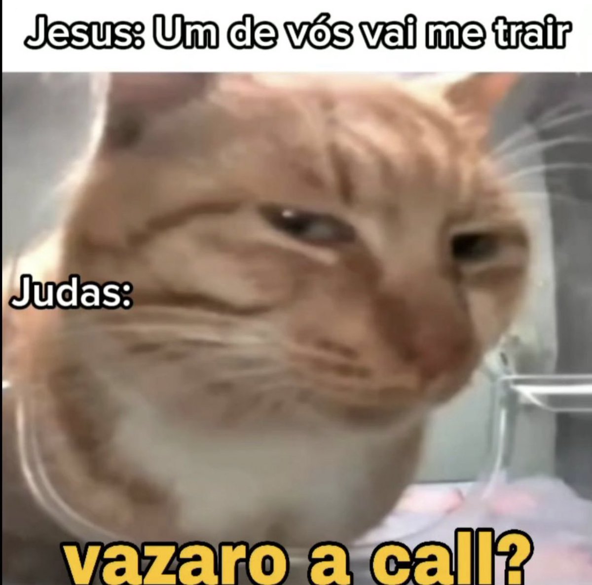 shitpostverdade's tweet image. 