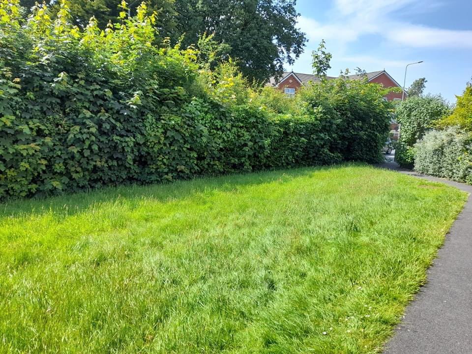 A fantastic afternoon meeting my new volunteer Ken. Together we will run the first group in #Wyre supporting people with early on set #Dementia. Our hope is to use this area for our members health and wellbeing delivering a green care project! <a href="/yourMHA/">Methodist Homes (MHA)</a> <a href="/LancashireCC/">Lancashire County Council</a>