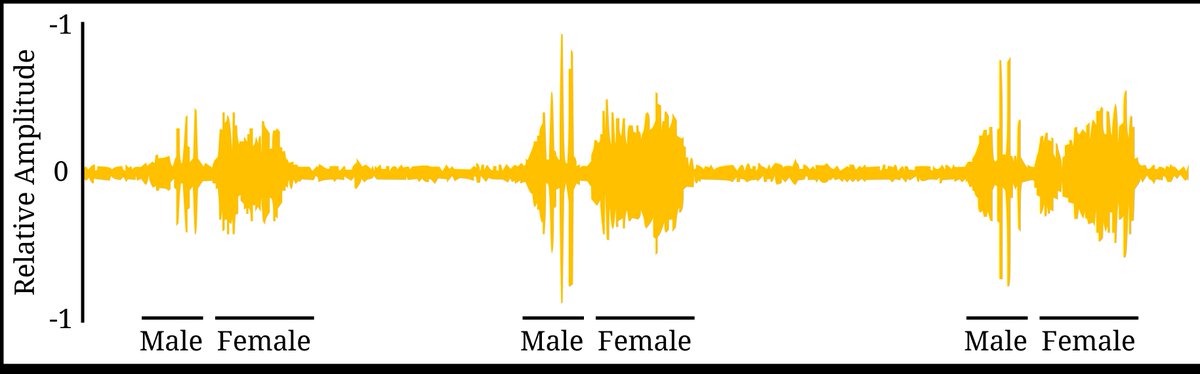 <a href="/NoahLeith/">Noah Leith</a> 🚨But wait, there's more!🚨 

 🔊Check out the recordings Noah and his team made of male-female courtship duets, which are transmitted as vibrational songs through plant tissues, of the treehoppers in his study🌱 

Find it on YouTube👇
buff.ly/4bQ8AKs 

<a href="/NoahLeith/">Noah Leith</a>