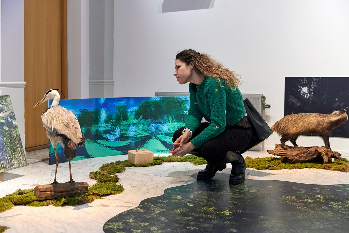 LAATSTE KANS | De expositie 'De Nestbouwers: Door de ogen van' is dit weekend voor het laatst te zien! Kijk alleen dit weekend nog mee vanuit het oogpunt van diverse dieren en ontdek een wereld die normaal aan ons mensen voorbij gaat. Meer weten? ➡️hetnatuurhistorisch.nl/exposities/nu/…