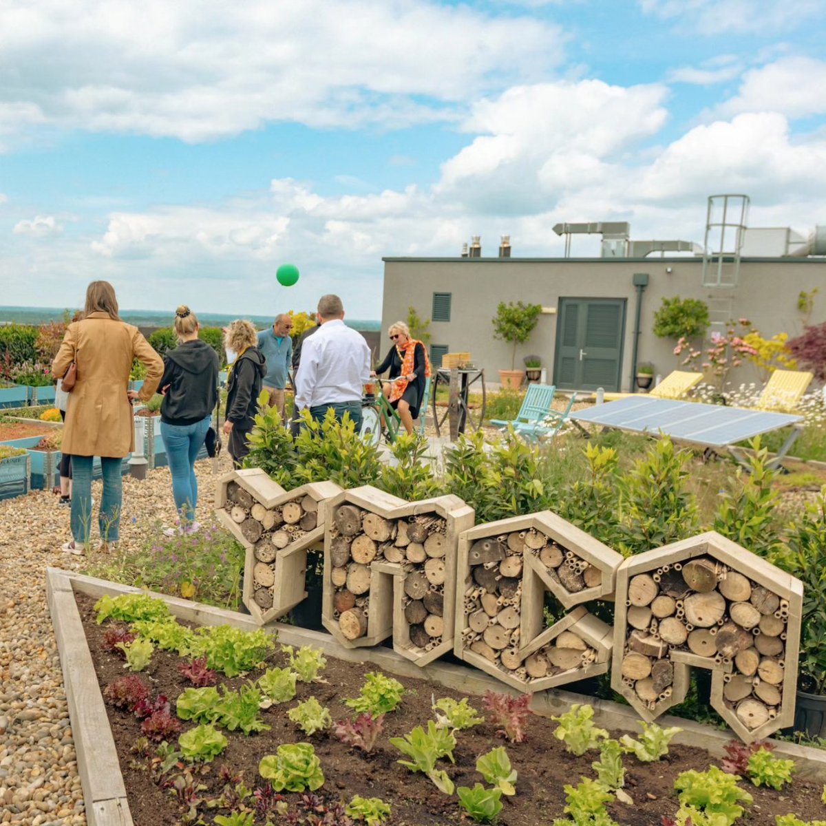 GreenRoofMK's tweet photo. Happy World Green Roof Day! 🪴 🌱 🌿 🌾 🌵 🏵 To celabrate, we co-hosted the @MKYMCA Community Lunch on their Green Roect roof! What a fun day with @HomegroundMK. Thanks to everyone for support  #WGRD2024 https://t.co/iPnwP2aeLh