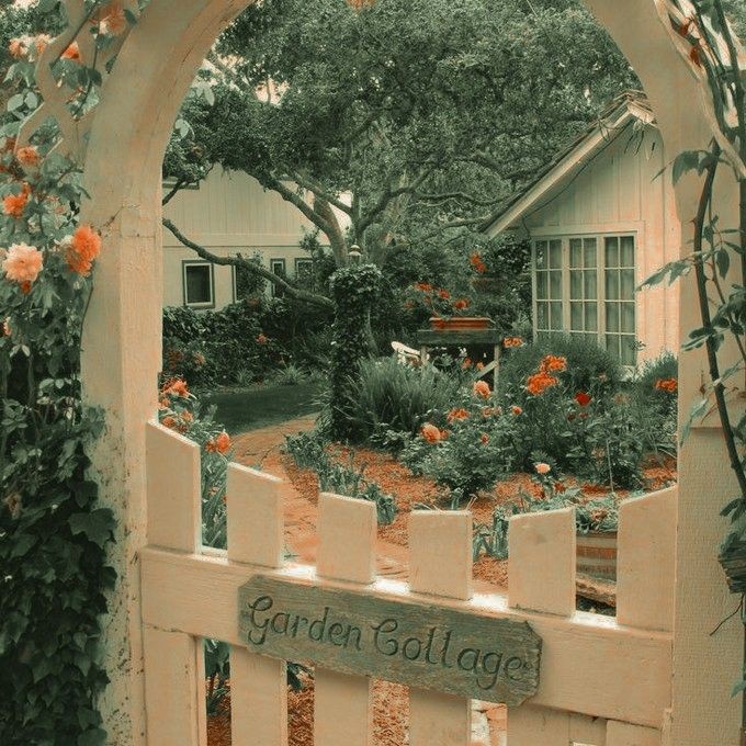 earrack. tweet media