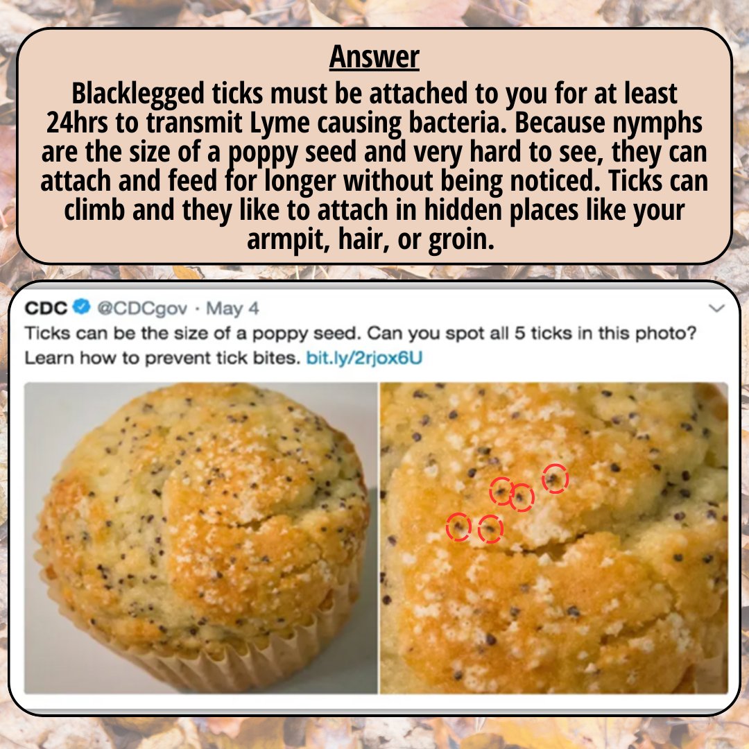 HNHB IPAC Hub (@theipachub) on Twitter photo Part 1: Do you know which tick can transmit the bacteria that causes Lyme disease?
Learn about blacklegged ticks, how they can cause illness, how to prevent tick bites, and what to do when bit! Part 1: Do you know which tick can transmit the bacteria that causes Lyme disease?
Learn about blacklegged ticks, how they can cause illness, how to prevent tick bites, and what to do when bit!