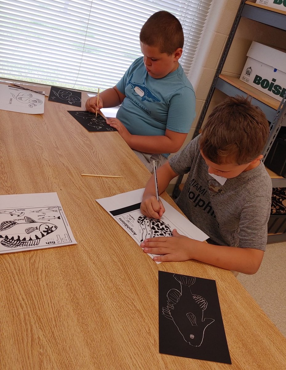 Waterville Primary tweet media