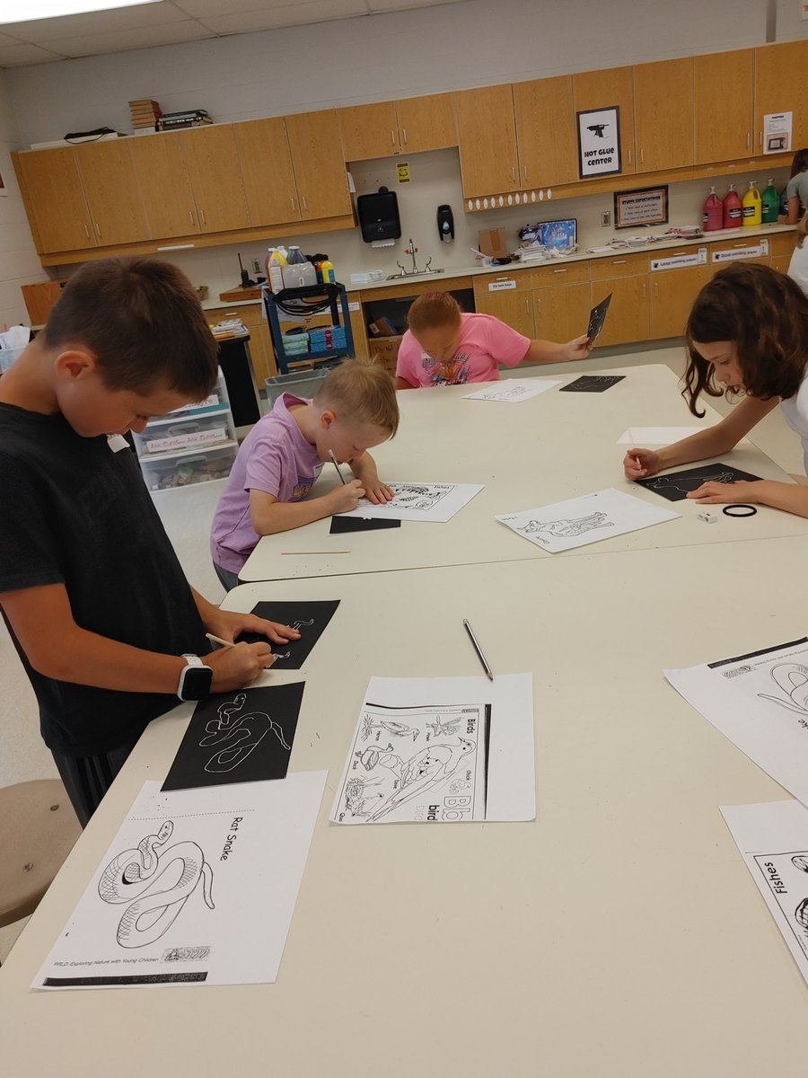 Waterville Primary tweet media