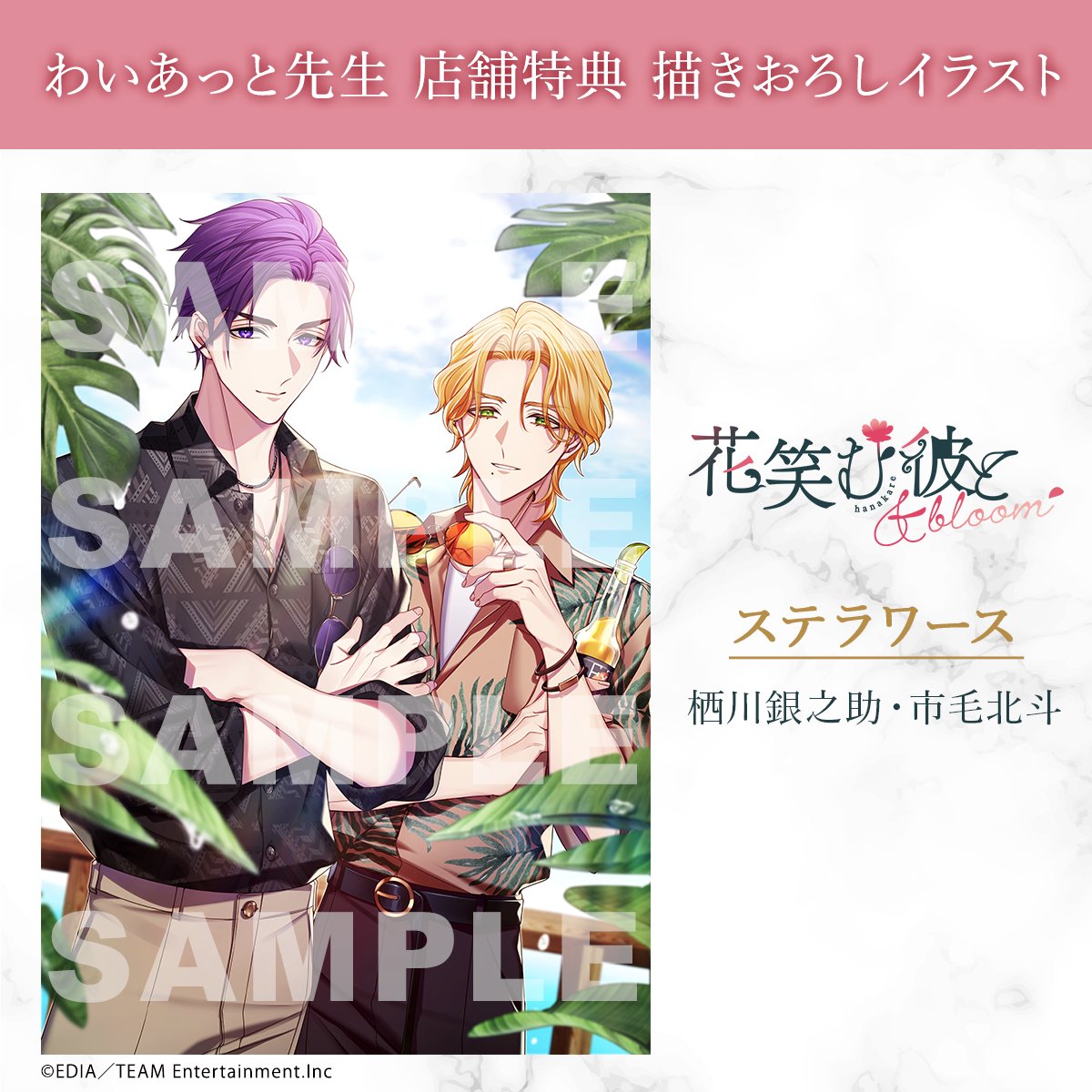 花笑む彼と & bloom ステラワース ステラセット 公式】花笑む彼と