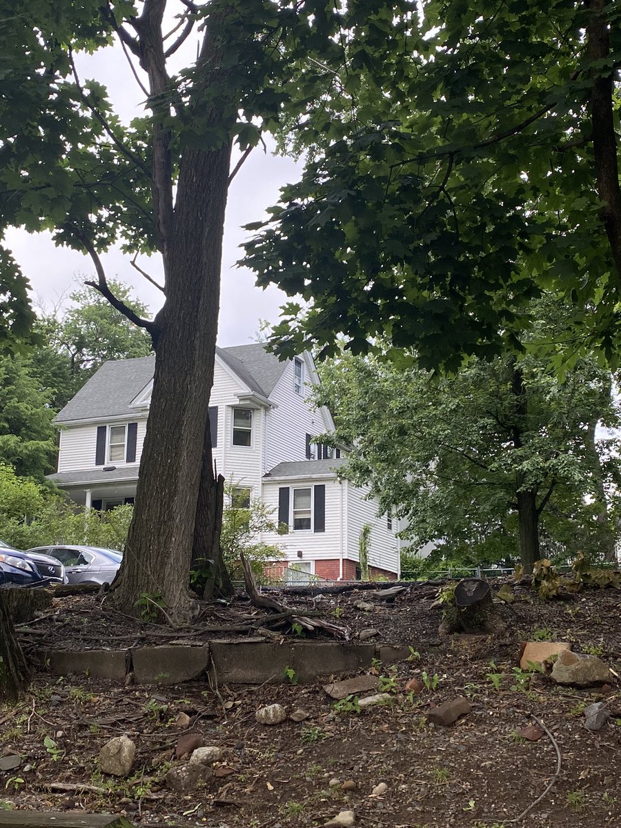 美国很多这个木头的房子，悉尼很多是砖房。你说加州怕地震都是木头做的房子，那么纽约这边也都是木的住房。我觉得还是砖房好。