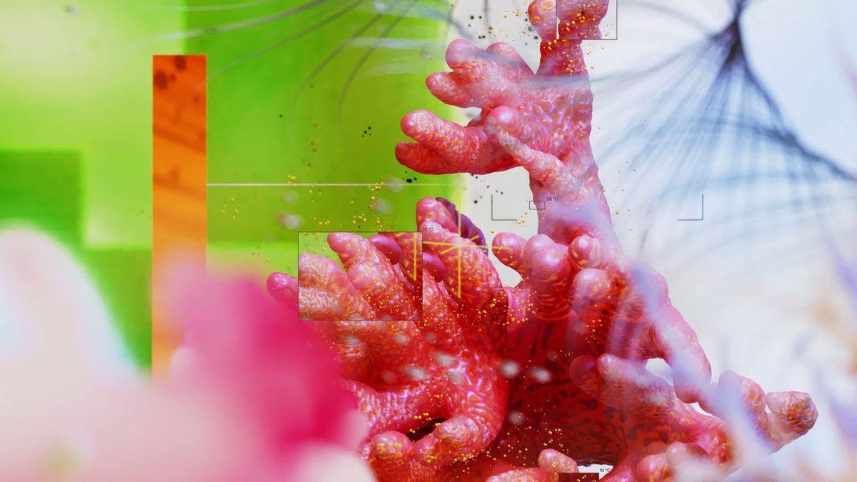 Stash Magazine tweet media