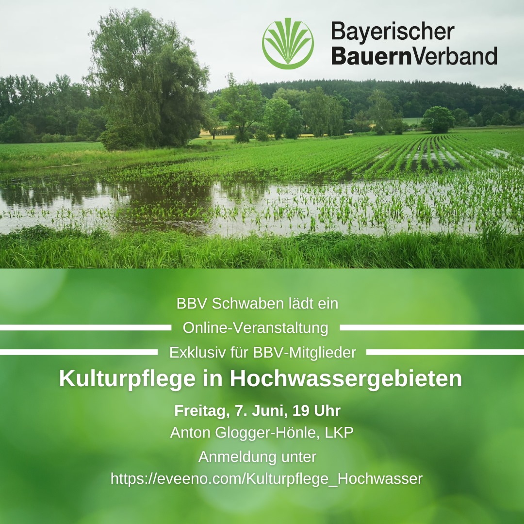 Mit dem Aufräumen beginnt auch die Aufarbeitung der Folgen. Exklusiv für BBV-Mitglieder gibt es einen Überblick über die Möglichkeiten der Kulturpflege in den Hochwassergebieten am Freitag, 7. Juni, um 19 Uhr. 
Hier geht's zur Anmeldung: eveeno.com/Kulturpflege_H…