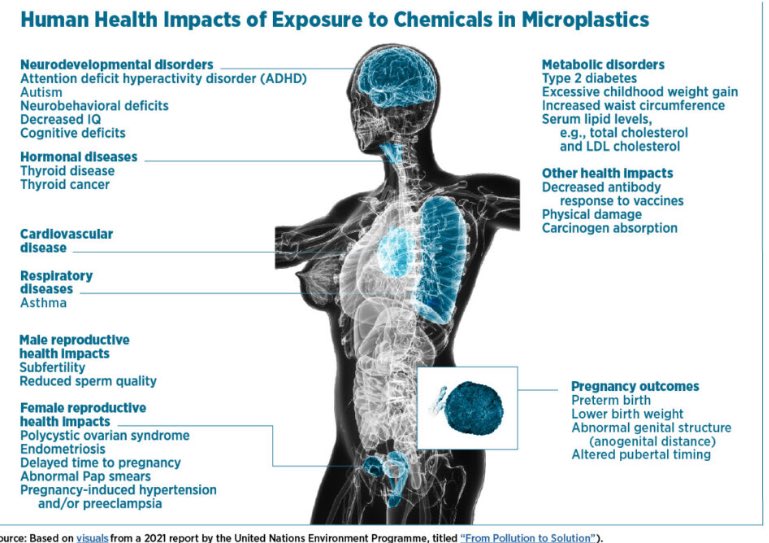 Donny Jo tweet media