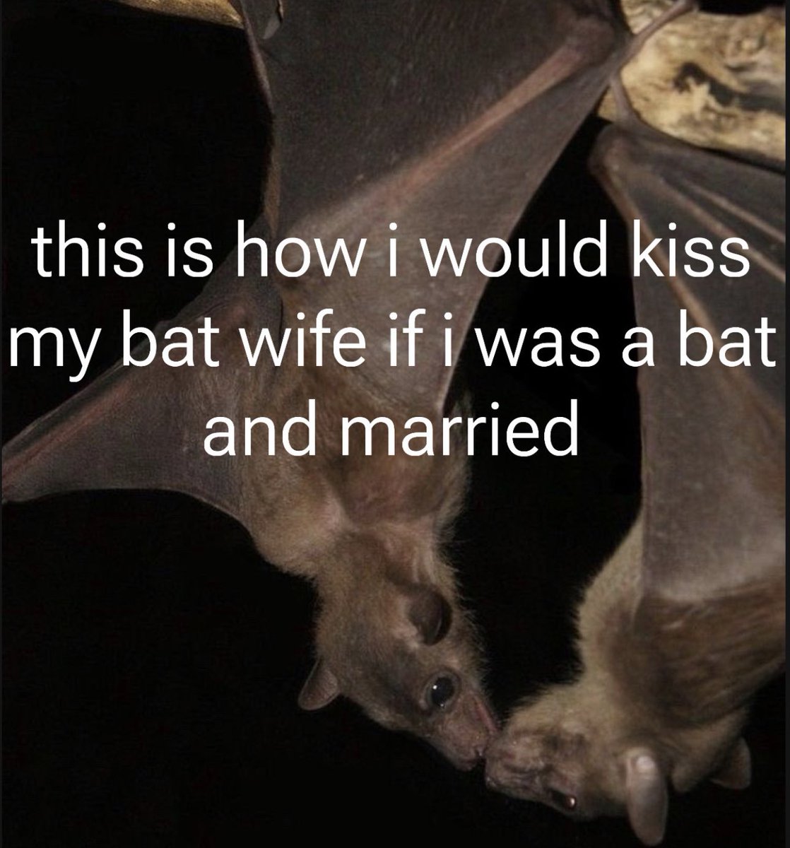 𝐭𝐡𝐞 𝐯𝐚𝐦𝐩𝐢𝐫𝐚 𝐬𝐡𝐨𝐰 🪦 (@horrorsthetics) on Twitter photo 