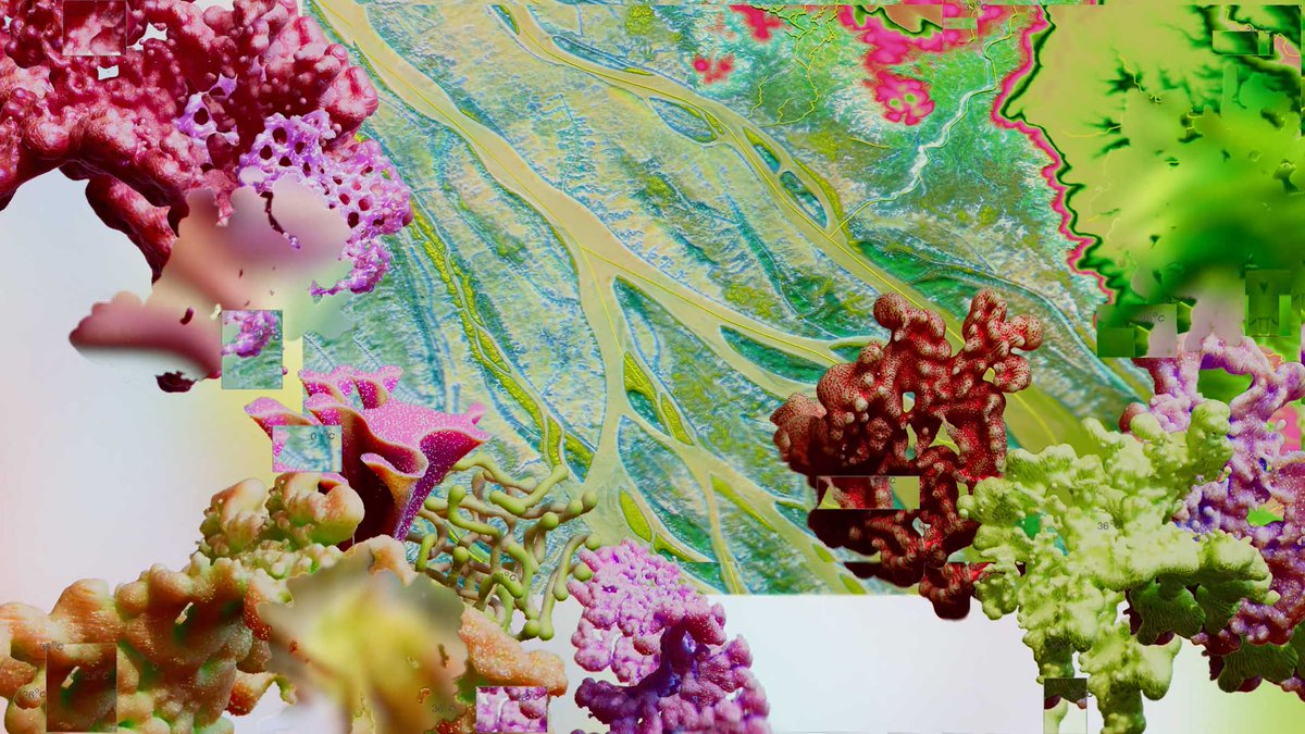 Stash Magazine tweet media