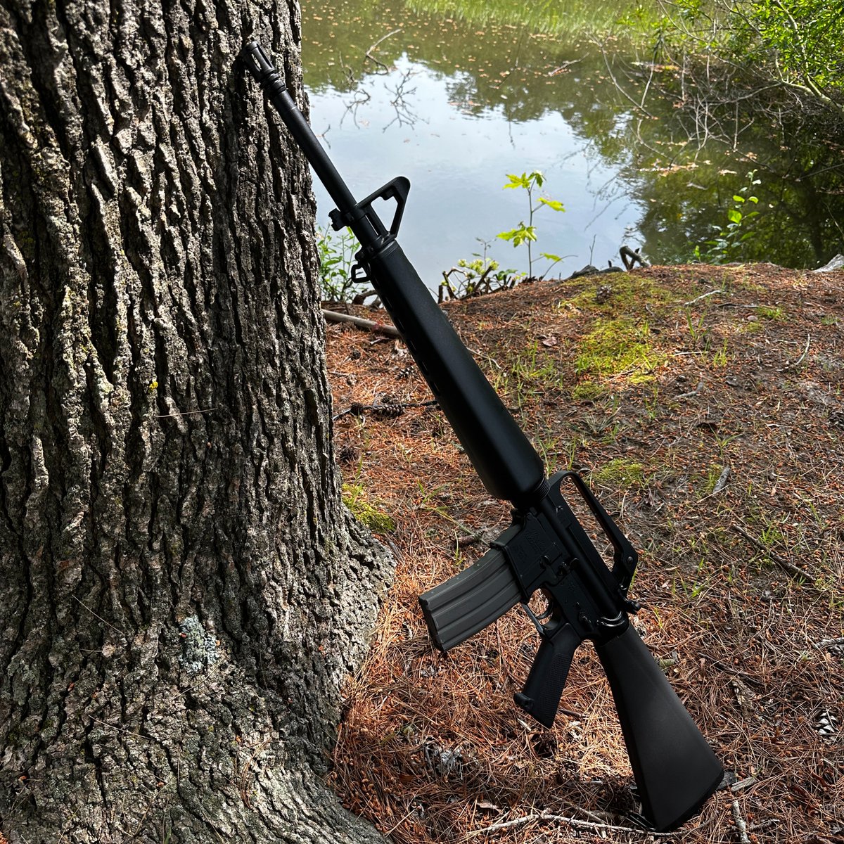 AtlanticFirearm's tweet photo. Windham is BACK BABY! M16 Vietnam Style Rifle #windham #windhamweaponry #atlanticfirearms #m16 #rifle #vietnam @WindhamWeaponry https://t.co/ae4wJJvUrV