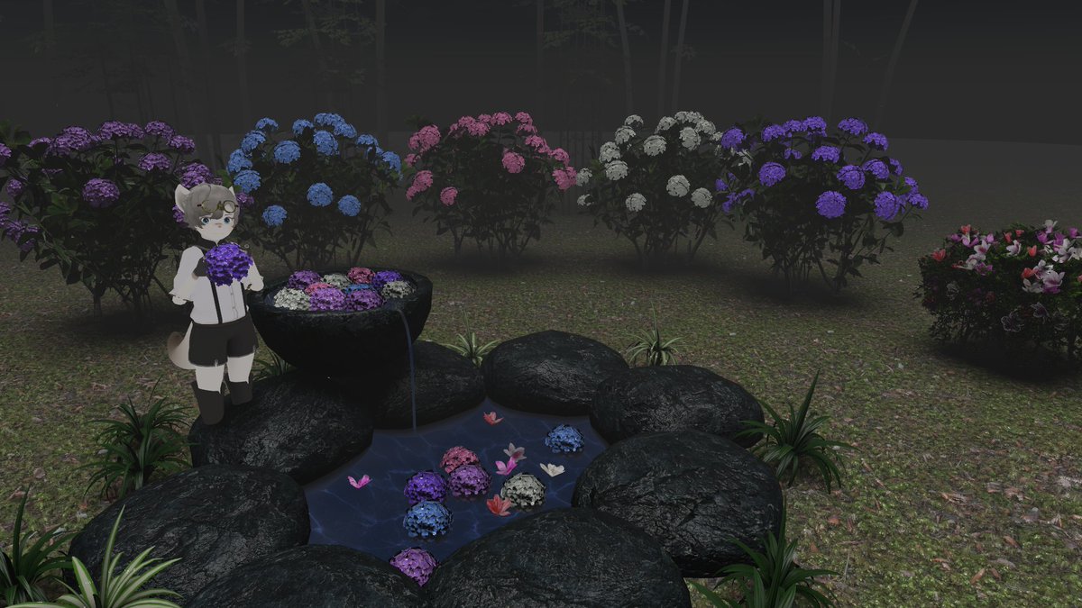 タイフ tweet media