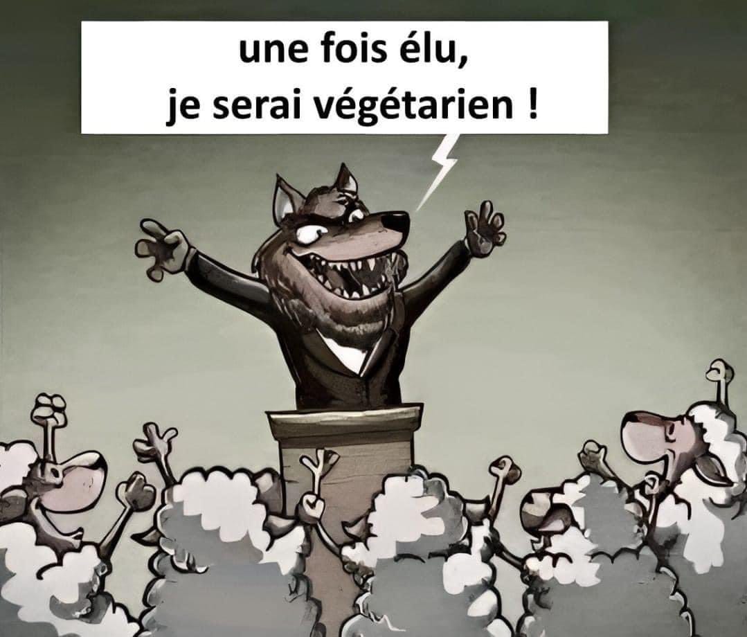 ClaudePonti's tweet image. J'ai vu passer ça,