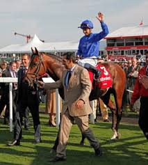HORSERACING1002's tweet photo. ENCKE🇺🇸2009
(KINGMAMBO - SHAWANDA BY SINNDAR)#Encke
B/O Godolphin (Ky) Feb 24, 2009.
9-3-3-3--$642,113
2012 Hwt 3yo Colt 14f+🇬🇧 & Hwt Stayer 🇪🇺
St Leger S G1,
2nd Gordon S G3, Glorious S G3
3rd Great Voltigeur S G2, Cumberland Lodge S G3, Irish St Leger S G1.
Died Oct 14, 2014 https://t.co/MVtlcItPRZ