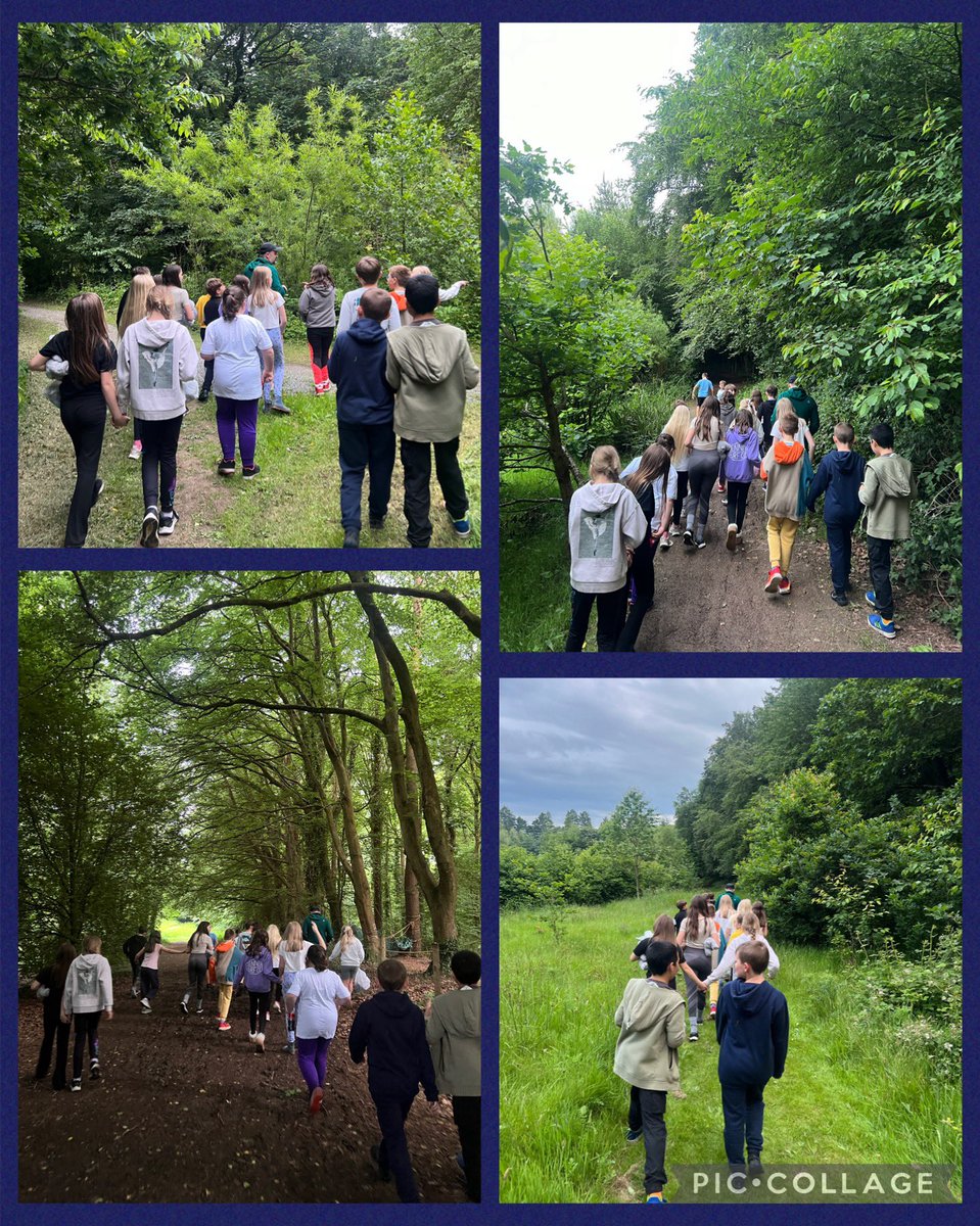 Y5 have had the best first day; they have made so many memories with their friends already. Some of us even finished our day with Mr Jones’ evening stroll. 🤩 🌙 💫 💙 <a href="/BarntonMissR/">Miss Rutter</a> <a href="/barntonMrJ/">Ryan Jones</a> <a href="/BarntonMissHL/">Miss Lagar</a> <a href="/BarntonMrJT/">Mr Tolley</a>