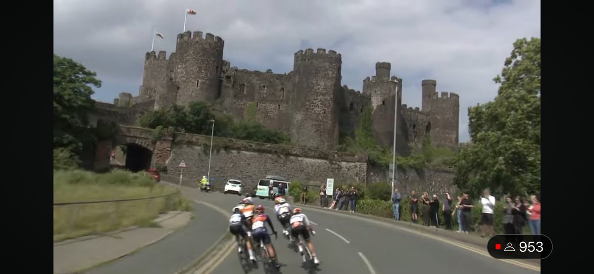 Alison Beech tweet media