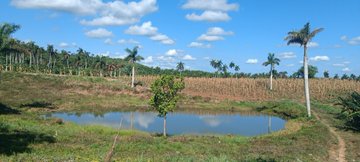 YasminGzlez74's tweet photo. Tierra  cuanta haya debe cultivarse, con varios cultivos, jamas con uno solo".  Dignificación Finca El Jobo, potenciando la soberanía alimentaria en el  Grupo. #Azucareros #Cuba #SíSePuede https://t.co/XszNj62807