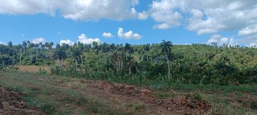 YasminGzlez74's tweet photo. Tierra  cuanta haya debe cultivarse, con varios cultivos, jamas con uno solo".  Dignificación Finca El Jobo, potenciando la soberanía alimentaria en el  Grupo. #Azucareros #Cuba #SíSePuede https://t.co/XszNj62807