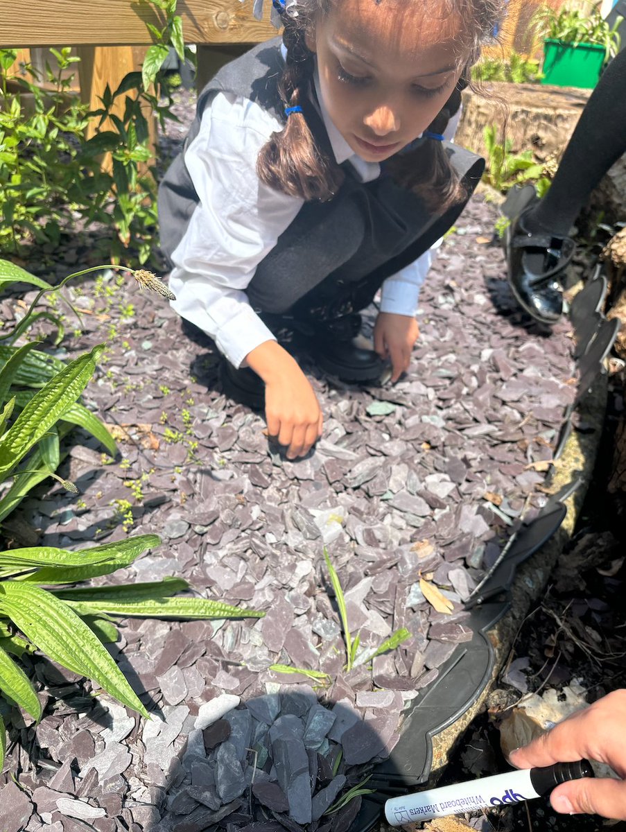 In science, Y2C went to Forest School to use their observation skills to find woodlice in their natural habitat. Look how many they found! <a href="/stsilasschool/">St Silas CE Primary School</a> <a href="/RainbowEduMAT/">Rainbow Education MAT</a>
