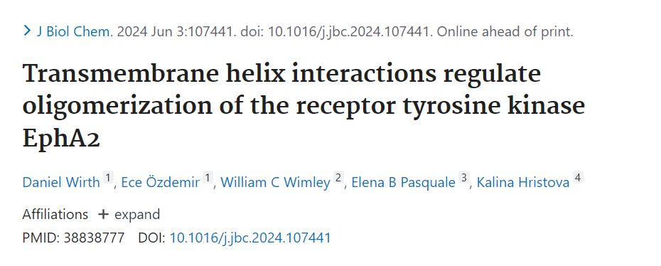 Our just-accepted JBC paper is on a controversial topic.  Perhaps lessons learned from simple model systems do not necessarily apply to receptors in the plasma membrane. What do you think?