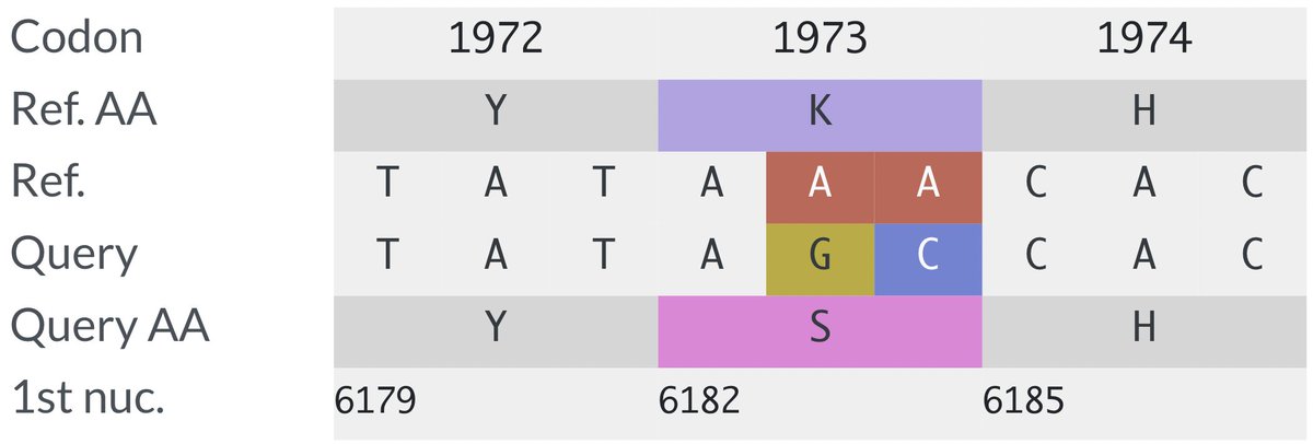 <a href="/SolidEvidence/">Marc Johnson</a> Here's the Nextclade nucleotide view.