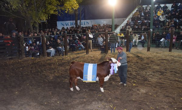 SuplementoCampo's tweet photo. Braford y Brahman pusieron sus mejores ejemplares a la venta https://t.co/JHY9kU0e4h https://t.co/NwtkI9lb2E