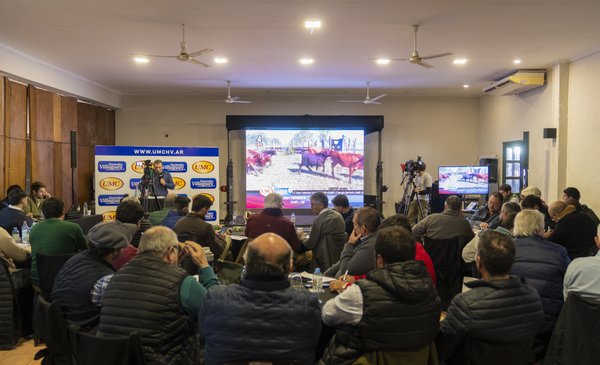 SuplementoCampo's tweet photo. UMC y Haciendas Villaguay vendieron 13 mil cabezas de invernada en las Nacionales https://t.co/qS5c1oufCq https://t.co/jTJlQ0681H