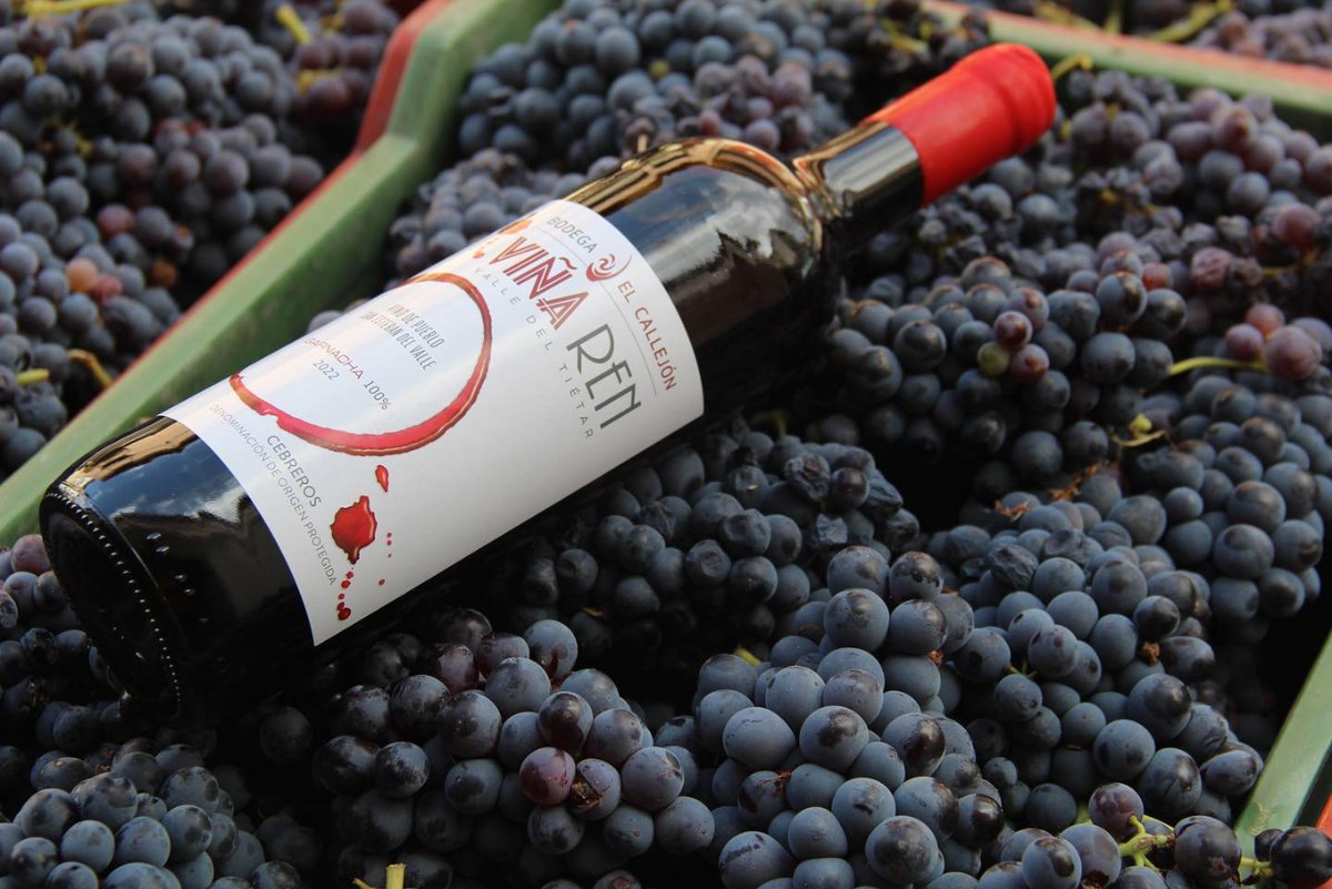 ¿Vino de elaboración 100% garnacha? 
Ese es el vino Viña Ren de #BodegasElCallejón 🍇

Nos tiene enamorados porque es totalmente delicioso 🙌🏼