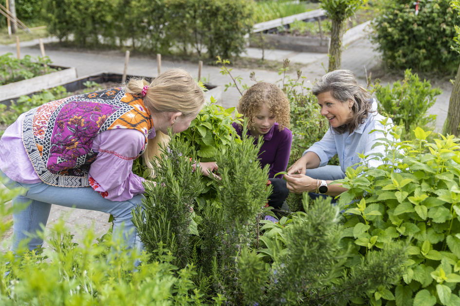👉 Wil jij deel uitmaken van een dynamische organisatie die streeft naar innovatief groen onderwijs? Bekijk snel onze actuele vacatures en draag bij aan toonaangevend groen onderwijs voor de toekomstige generaties! 🍀

#aeres #groenonderwijs #vacatures

bit.ly/3wtby7T