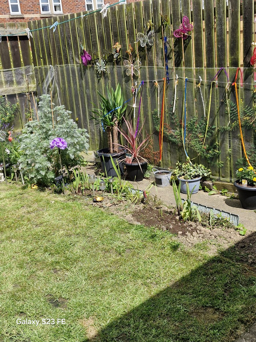 KellyGoodhall2's tweet photo. My garden looking good https://t.co/NbHRiwvEon