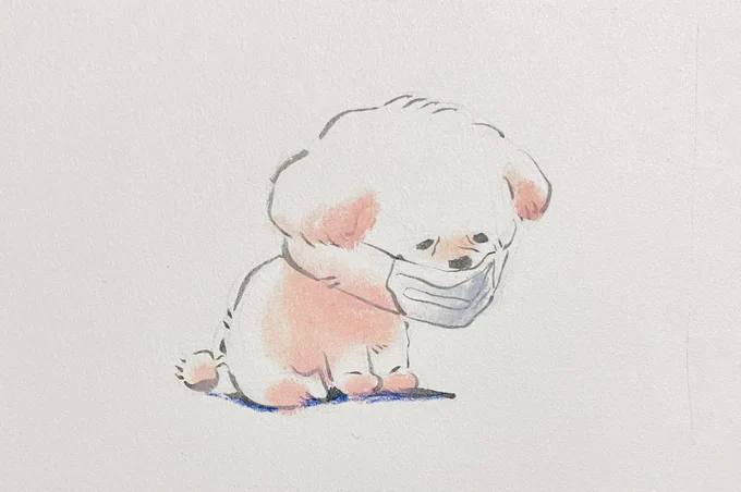 ちょっと休憩シょ 