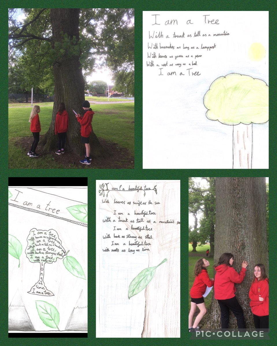 P5/6 have been taking our writing outdoors! We used our woodland surroundings to inspire our poems filled with similes. <a href="/wl_literacy/">WL Literacy</a>