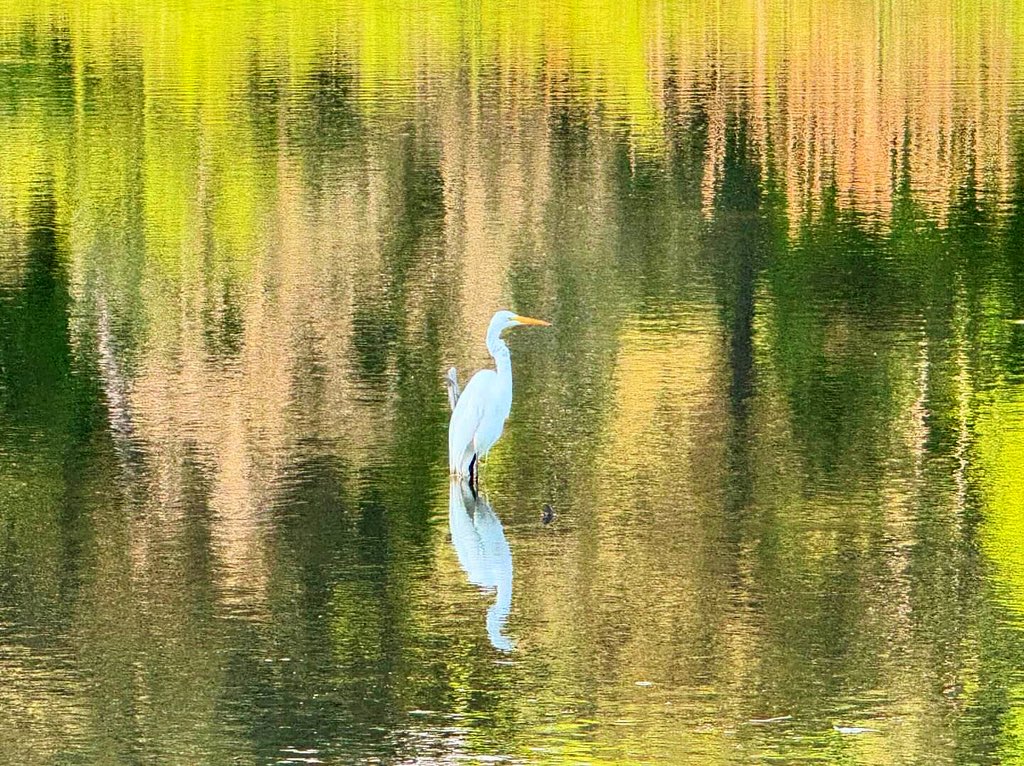 HadisMohammad12's tweet photo. “Hana-Haki”
𝓎ℴ𝓊 𝓂𝒶𝒹ℯ 𝒻𝓁ℴ𝓌ℯ𝓇𝓈 𝑔𝓇ℴ𝓌 𝒾𝓃 𝓂𝓎 𝓁𝓊𝓃𝑔𝓈 
𝒜𝓃𝒹 𝒶𝓁𝓉𝒽ℴ𝓊𝑔𝒽 𝓉𝒽ℯ𝓎 𝒶𝓇ℯ 𝒷ℯ𝒶𝓊𝓉𝒾𝒻𝓊𝓁 ，𝒾 𝒸𝒶𝓃’𝓉 𝒷𝓇ℯ𝒶𝓉𝒽ℯ！ https://t.co/ojnwDkjOdD